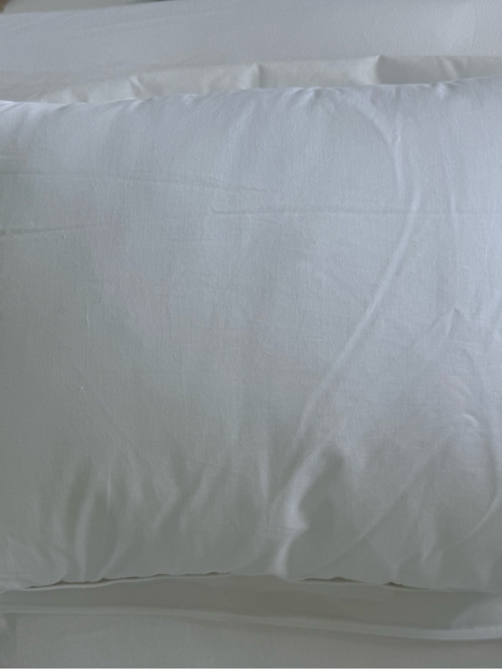 Quince luxe goose down pillow - Picture 5 of 7